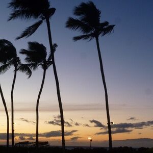 Meet your Posher, Kit